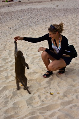 Monkey island at Ha Long Bay