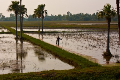 View out of the train on the track from Hanoi to Saigon