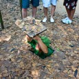 One of the big tourist attractions in Ho Chi Minh City are the Cu Chi tunnels. Cu Chi is a suburban district of Ho Chi Minh City and the tunnels […]